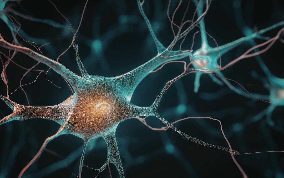 Neurosciences & prévention : comprendre le cerveau pour mieux prévenir les accidents