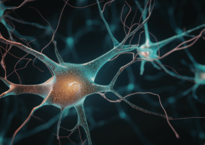Neurosciences & prévention : comprendre le cerveau pour mieux prévenir les accidents