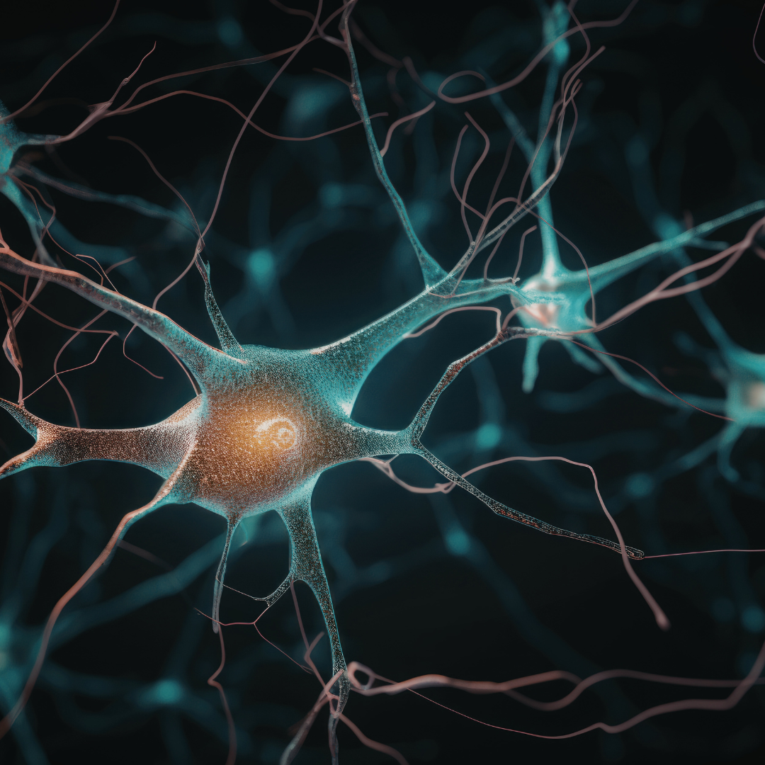 Neurosciences et prévention